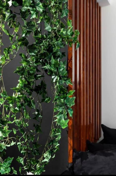 Novel Acropolis Apartment أثينا المظهر الخارجي الصورة